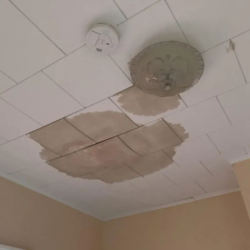 Ceiling Water Damage Repair in Tyndall Air Force Base, FL